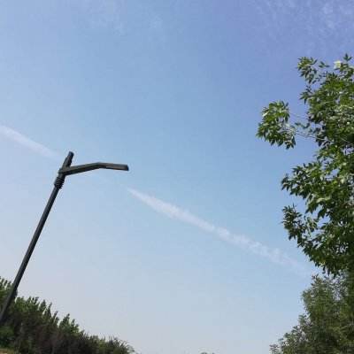 小韬咪萌犬屋游戏下载